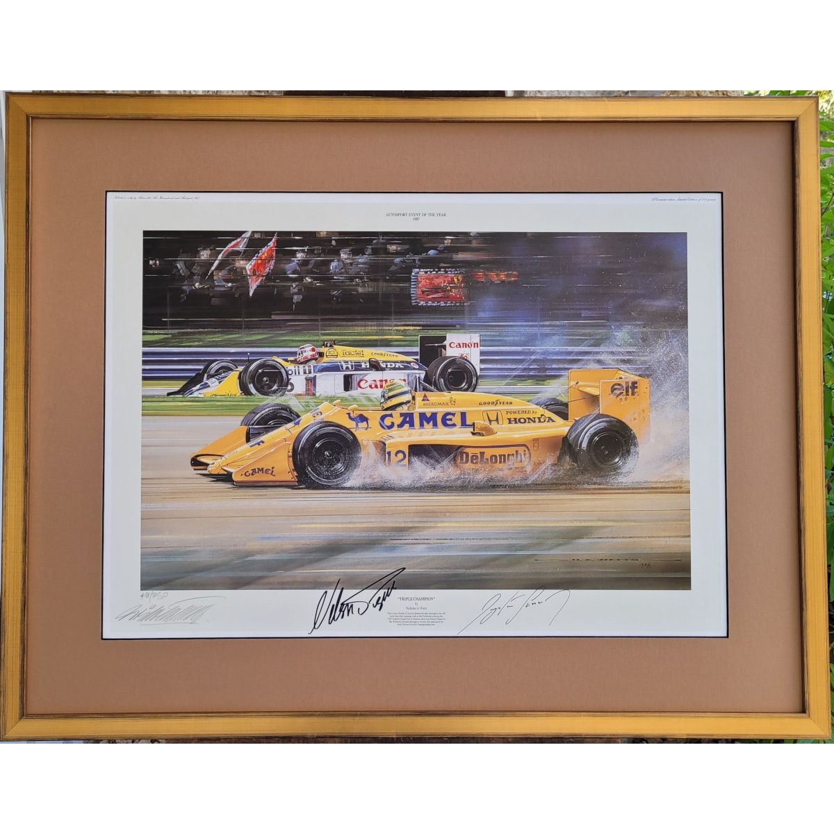 Custom Framed Triple Champion Piquet & Senna Signed – Nicholas Watts