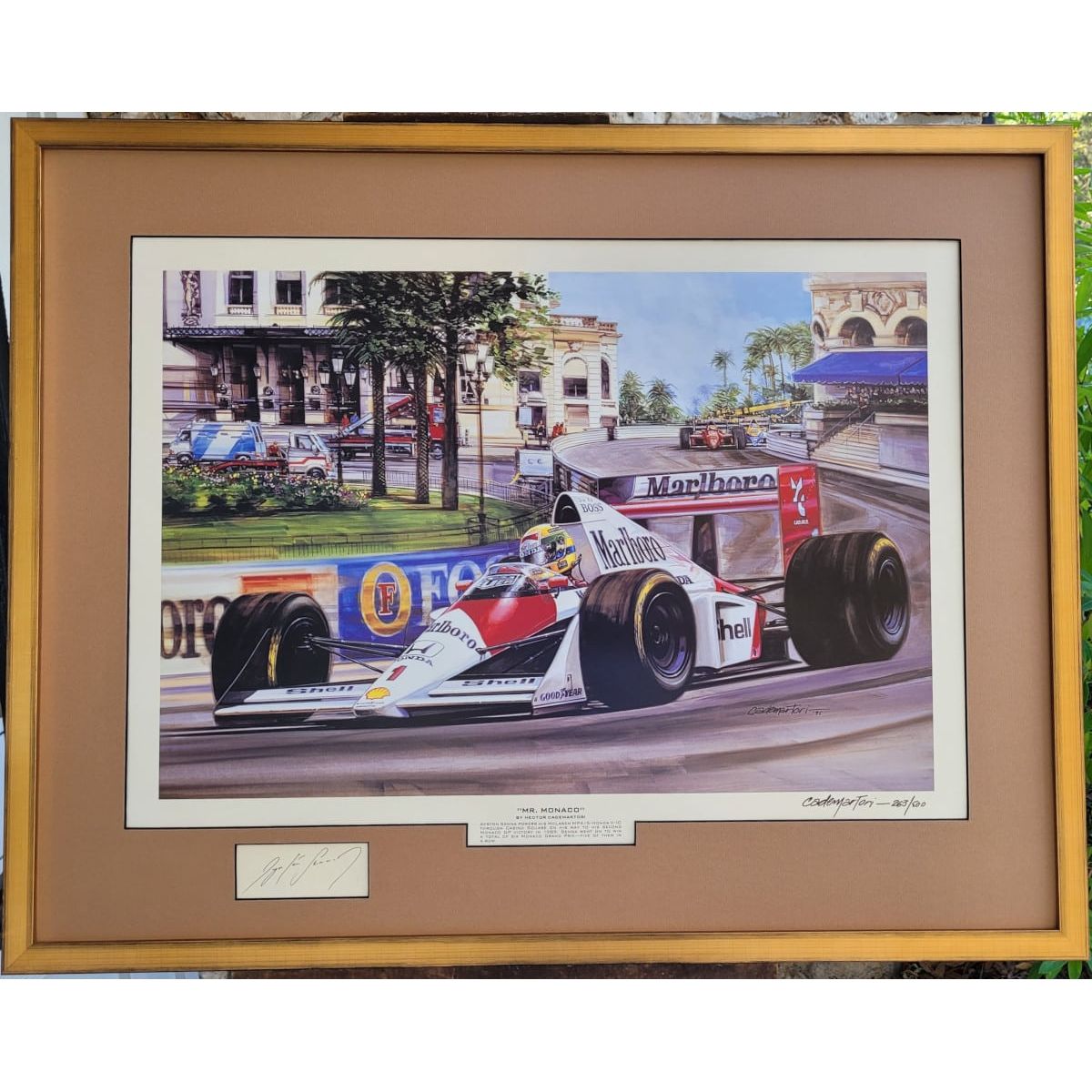 Custom Framed Mr. Monaco with Senna Signature - Hector Cademartori