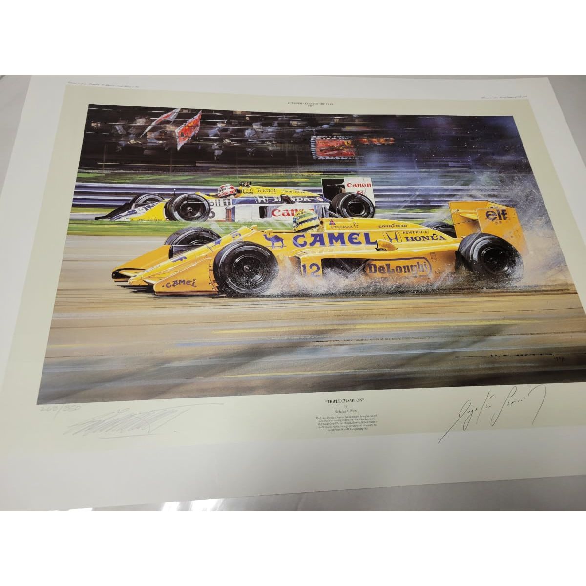 Triple Champion Ayrton Senna Signed - Nicholas Watts