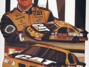 Ward Burton by Elmer Meider