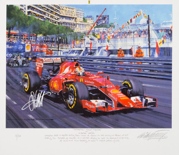 Sebastian Vettel - Street Fighter