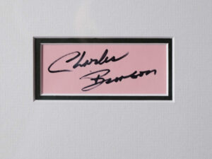 The Great Escape - Watts - Detail 8